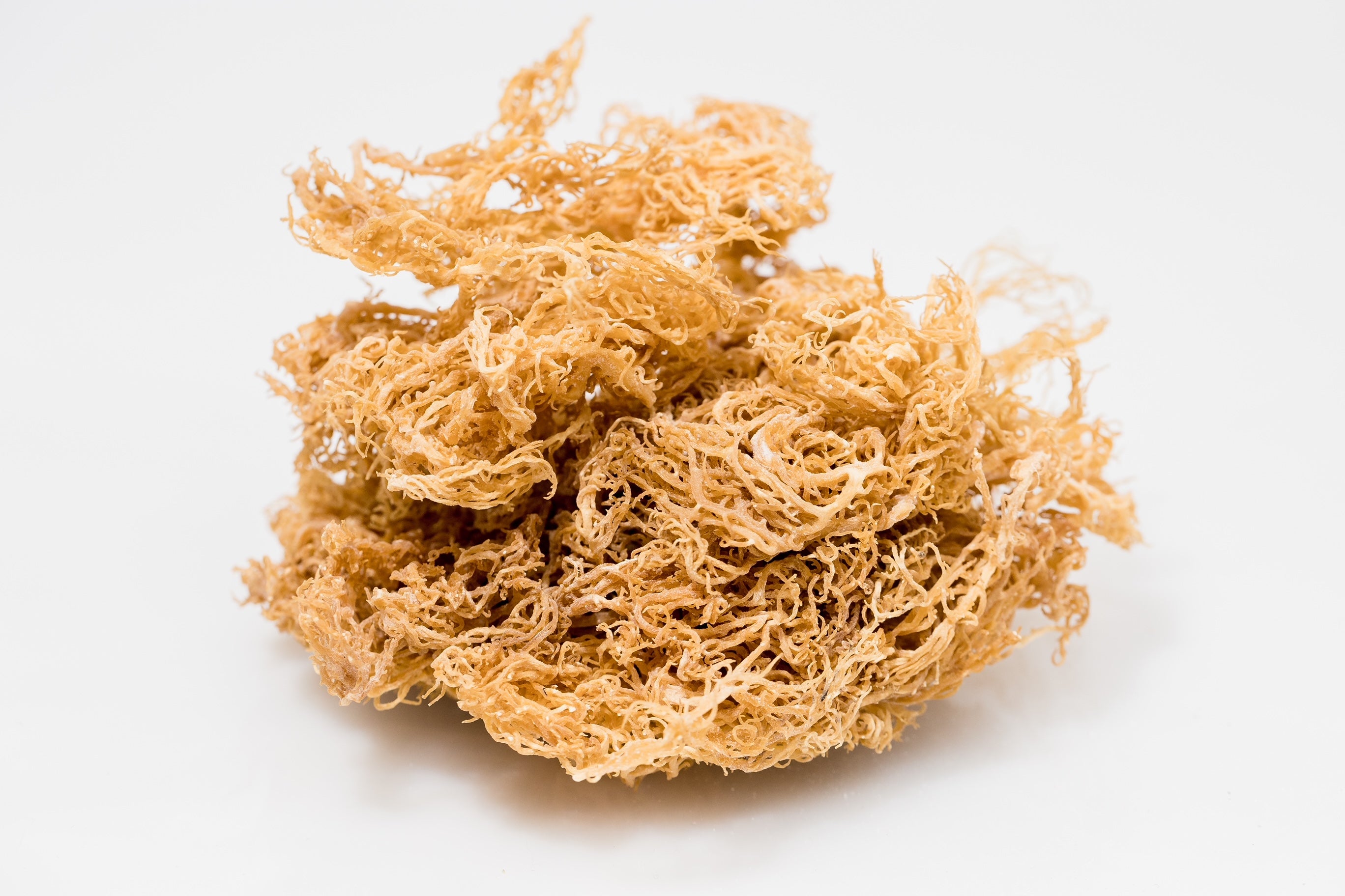 Premium Quality Natural Gold Irish Sea Moss 1\2lb